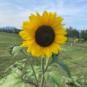 Meet your Posher, Rhea